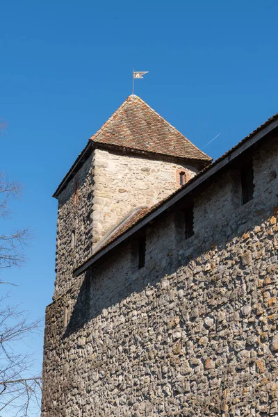 Rapperswil Suiza Febrero 2022 Castillo Histórico Centro Ciudad Día Soleado —  Fotos de Stock