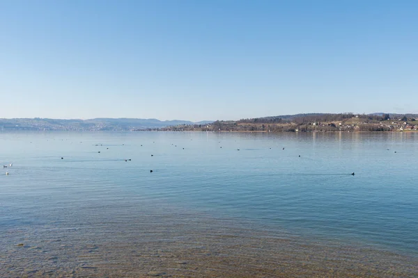 Rapperswil Zwitserland Februari 2022 Uitzicht Kust Aan Het Prachtige Meer — Stockfoto