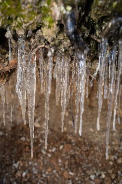 Davos, İsviçre, 23 Mart 2022 Kış zamanı küçücük bir mağarada sarkan buz sarkıtları