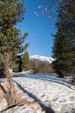 Davos, İsviçre, 23 Mart 2022 Güneşli bir günde küçük bir park