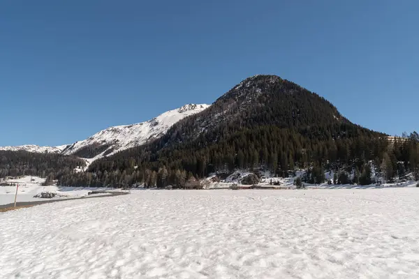 Davos Švýcarsko Března 2022 Majestátní Zimní Krajina Slunné Modré Obloze — Stock fotografie
