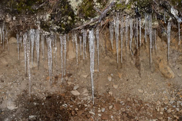 2022年3月23日 瑞士达沃斯冬季 冰柱悬挂在一个小小的洞穴里 — 图库照片