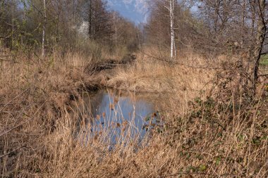 Schaan, Lihtenştayn, 28 Mart 2022 Tiny nehri baharda bir parktan akar.
