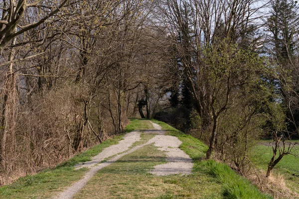 Vaduz Liechtenstein Março 2022 Pequena Trilha Caminhada Através Uma Floresta — Fotografia de Stock