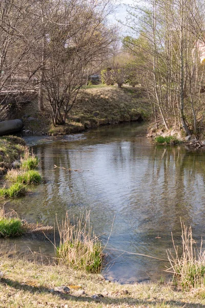 Весной Крошечной Парковой Зоне Плавает Маленькая Речка — стоковое фото