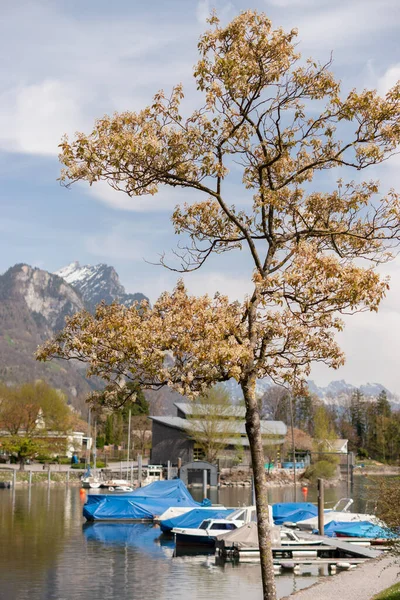 Weesen Schweiz April 2022 Winzige Boote Treiben Frühling Ufer Des — Stockfoto