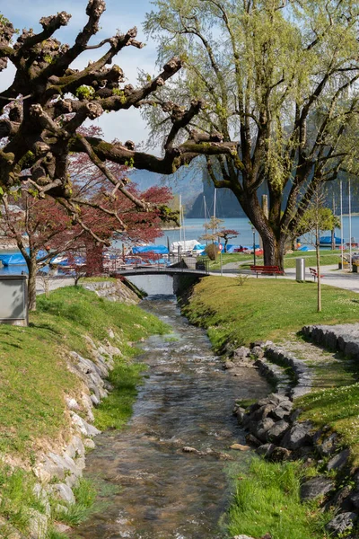 Weesen Switzerland April 2022 Pretty Park Coast Lake Walensee Spring — стоковое фото