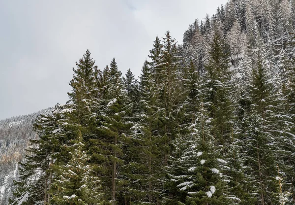 San Bernardino Pass Switzerland April 2022 Snow Covered Landscape Alps — ストック写真