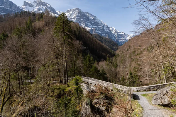 Riedern Canton Glarus Sveitsi Huhtikuuta 2022 Historiallinen Vanha Kivisilta Metsässä — kuvapankkivalokuva