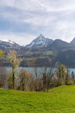Weesen, İsviçre, 13 Nisan 2022 Walensee Gölü ve arka plandaki Alpler hakkında büyüleyici bir manzara
