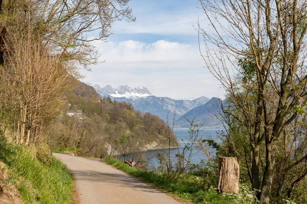 Weesen Sviçre Nisan 2022 Walensee Gölü Arka Plandaki Alpler Hakkında — Stok fotoğraf