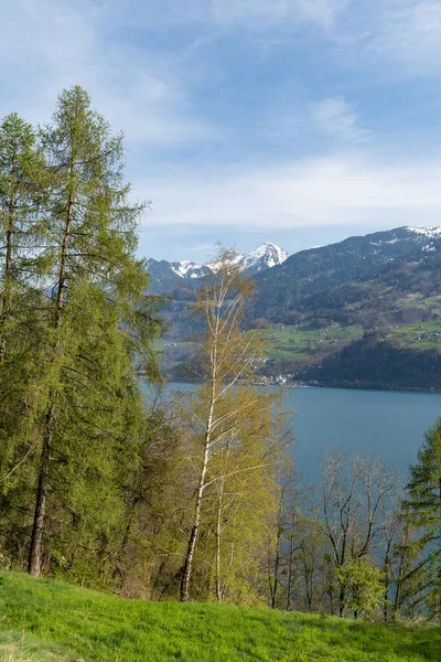 Weesen Ελβετία Απριλίου 2022 Συναρπαστική Θέα Στη Λίμνη Walensee Και — Φωτογραφία Αρχείου