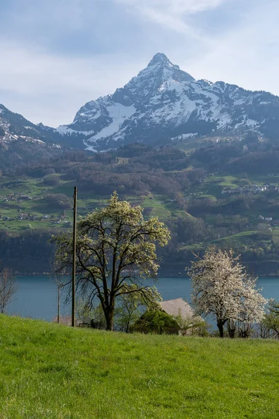 Weesen Switzerland April 2022 Fascinating View Lake Walensee Alps Background — ストック写真
