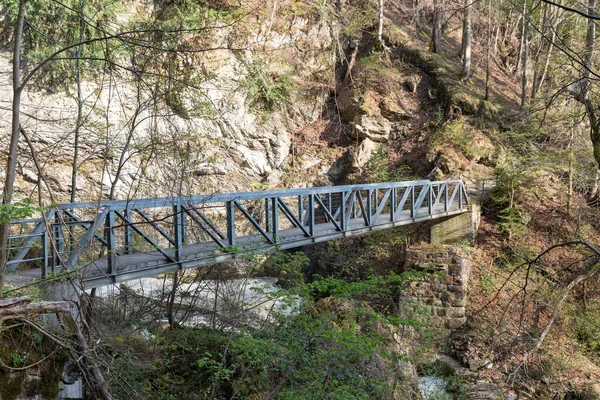 Weesen Switzerland April 2022 Little Pedestrian Bridge Small Canyon Hiking — Stock Photo, Image