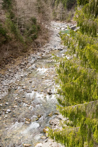 Rania Grison Switzerland April 2022 Небольшая Часть Начале Реки Рейн — стоковое фото