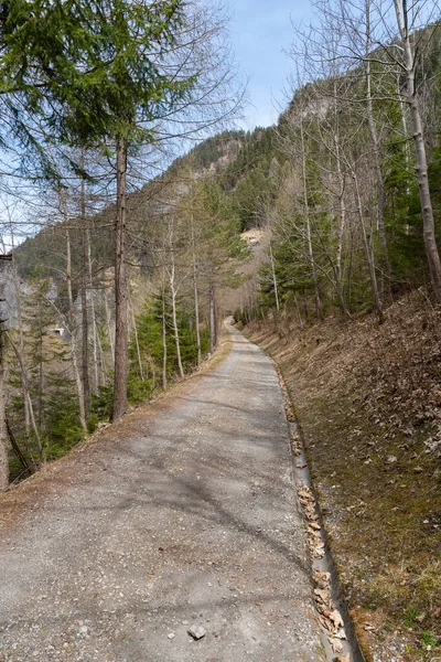 Rania Grison Suíça Abril 2022 Trilha Caminhada Através Uma Floresta — Fotografia de Stock