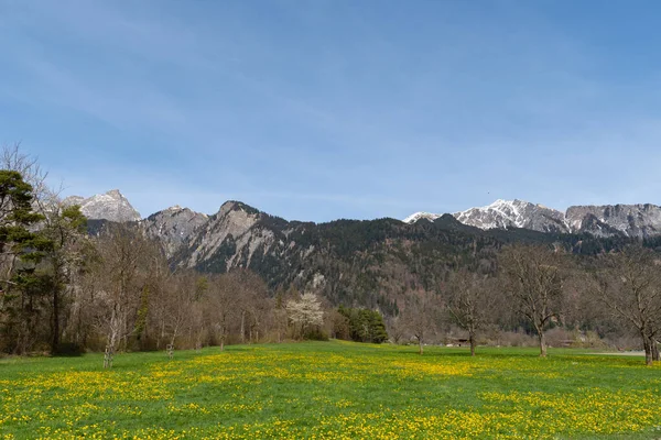 Maienfeld Grison Svizzera Aprile 2022 Splendido Scenario Alpino Vista Sulla — Foto Stock