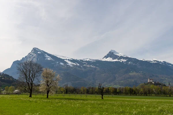 2022年4月11日スイス グリソン州マイエンフェルト春の晴れた日にライン渓谷の新鮮な緑のフィールドの背後にある2つの山の頂上 — ストック写真