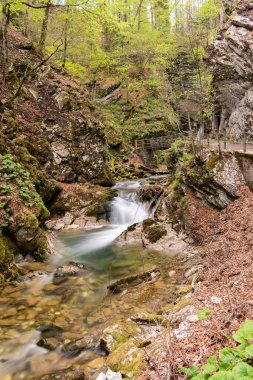 Unterwasser, İsviçre, 5 Mayıs 2022 Güzel Thur şelaleleri küçük bir kanyonda