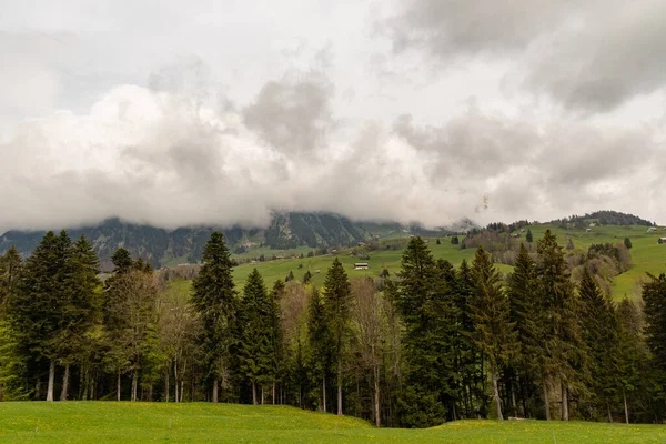 Gams Suíça Maio 2022 Vista Sobre Vale Reno Dia Nublado — Fotografia de Stock