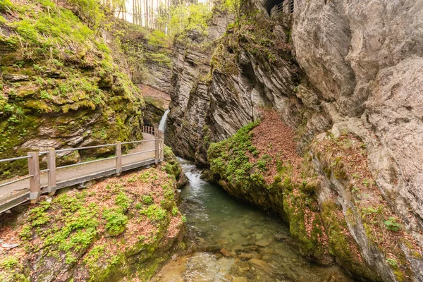 Unterwasser Switzerland May 2022 Little Alpine River Flows Canyon Thur — Stock Photo, Image