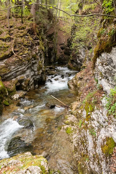 2022年5月5日 瑞士温特瓦塞尔春天 小高山河流沿着图尔瀑布的峡谷流过 — 图库照片