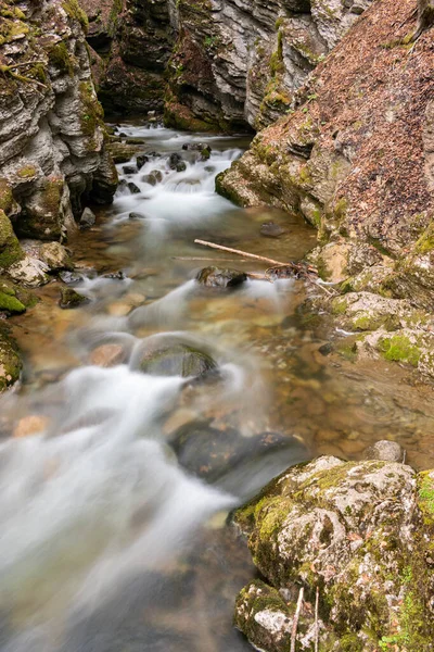 スイスのUnterwasser 2022年5月5日春の時間には スール滝の峡谷に沿って小さな高山の川が流れます — ストック写真