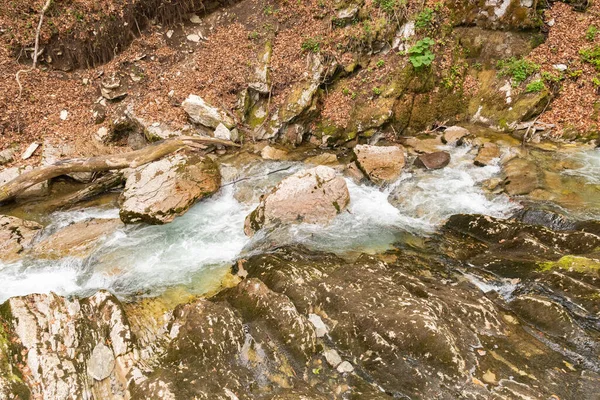 Unterwasser Ελβετία Μαΐου 2022 Μικρός Αλπικός Ποταμός Ρέει Κατά Μήκος — Φωτογραφία Αρχείου