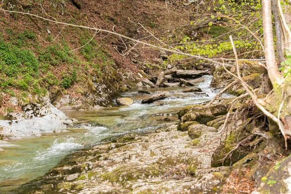 Unterwasser Švýcarsko Května 2022 Malá Alpská Řeka Teče Jaře Podél — Stock fotografie