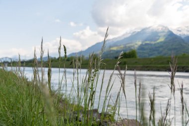 Schaan, Liechtenstein, May 2, 2022 View over the rhine river on a sunny day in spring time