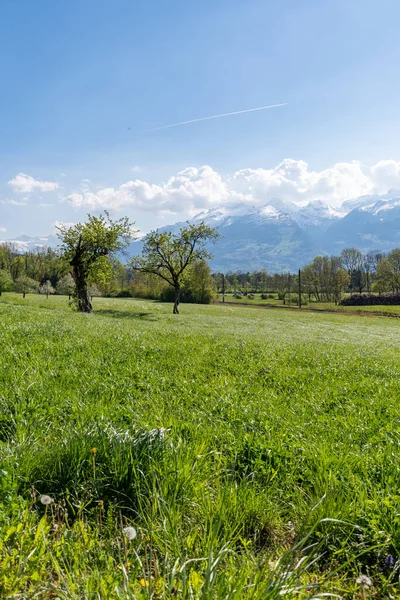 Nendeln Liechtenstein April 2022 Beautiful Landscape Sunny Day Spring Time — ストック写真