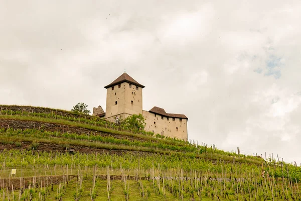 Balzers Liechtenstein June 2022 Historic Old Gutenberg Castle Cloudy Day — стокове фото