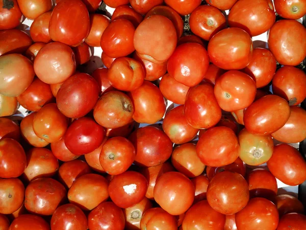 stock image group of sticking raw organic Tomatoes of different, Fresh juicy appetizing tomatoes. Raf tomato, cherry in opened fresh market, Macro Photo spring food 