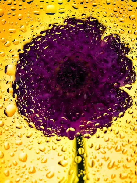 Blomma Gul Bakgrund Defocus Vattendroppar Från Ovan — Stockfoto