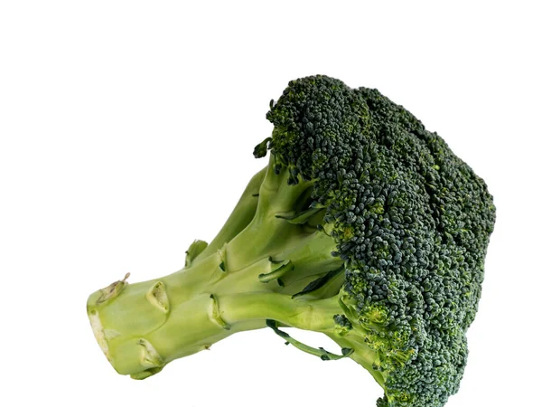 Close Van Broccoli Tegen Witte Achtergrond — Stockfoto