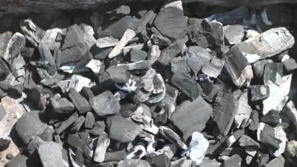 Перемішати Вугілля Паличкою Залізному Мангалі Високоякісні Кадри — стокове відео