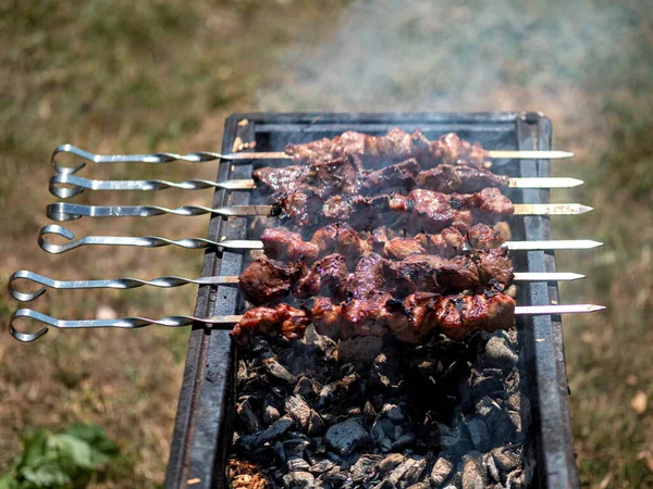 Barbeküde ızgara lezzetli yemeklere yakın çekim. Doğada lezzetli şiş kebap pişirme süreci. BBC 'deki metal şişte lezzetli yemekler. Piknik zamanı. Sokak yemeği. Yemek festivali. Kazıkta domuz eti.