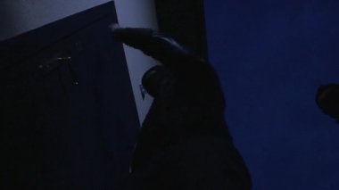  Bilinmeyen maskeli adamlar bir daireyi soyuyor, soygun ve suç kavramı 
