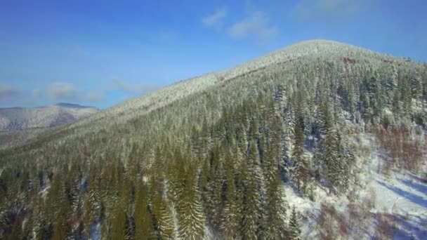 Luftaufnahmen Des Wunderschönen Bergkarpaten Waldes Winter — Stockvideo