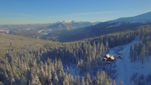 Imágenes Aéreas Hermosa Montaña Bosque Cárpatos Invierno — Vídeo de stock