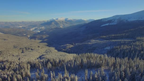 Letecké Záběry Krásných Horských Karpatských Lesů Zimě — Stock video