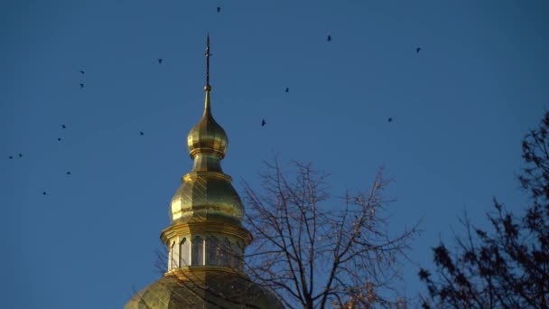 Michael Golden Domed Klooster Kiev Oekraïne — Stockvideo