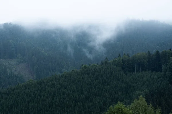 Ködös Hegyvidéki Erdős Táj Legjobb Misztikus Atmoszférával Kelet Csehországban Jogdíjmentes Stock Fotók