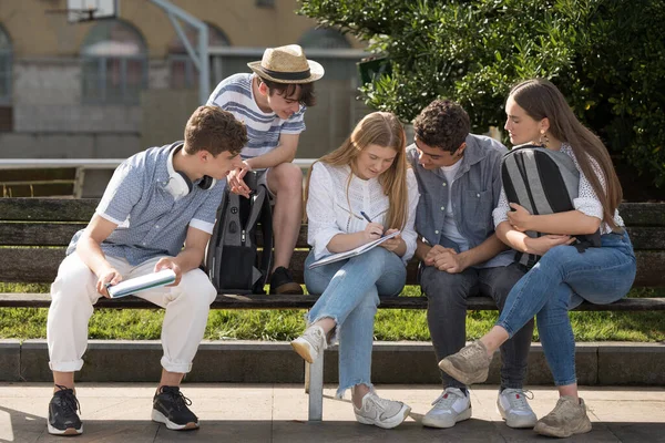 Estudiantes Universitarios Trabajando Aprendiendo Juntos Parque Amigos Adolescentes Sentados Banco —  Fotos de Stock