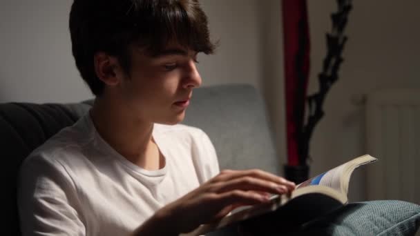 Cute Teenager Boy Reading Book Sitting Couch Night — Wideo stockowe