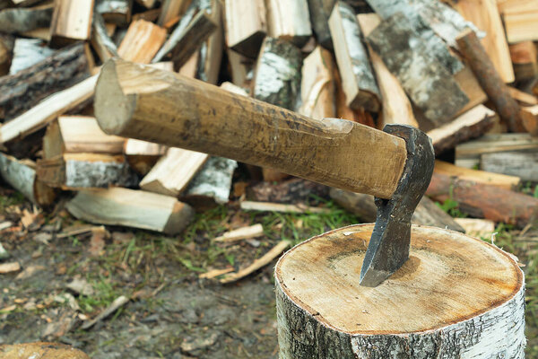 Ax in the wood. Harvesting in the household. Old ax