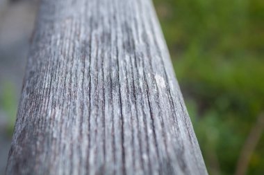 Eski ahşap arka plan. Ormanın bir parçası. Gri odun kütüğü