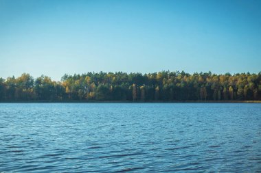 Güzel sonbahar manzarası. Göl kıyısında sonbahar ormanı. Çok renkli ağaçlar