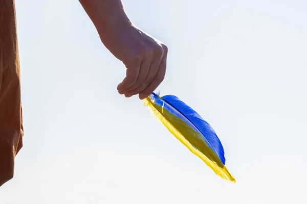 Elin Renkli Bir Kalemi Tutuyor Mavi Sarı Tüy Gökyüzü Arka — Stok fotoğraf