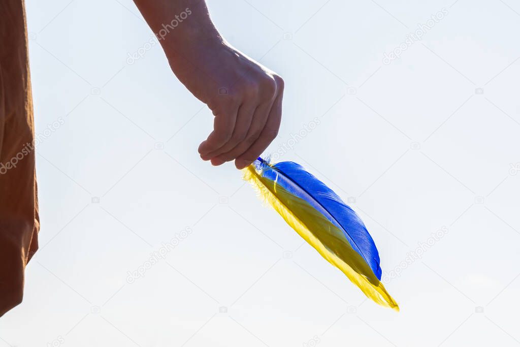Hand holds a colored pen. Blue-yellow feather. Feather on sky background
